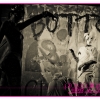 trauma-2012-provocatique-1031_blog